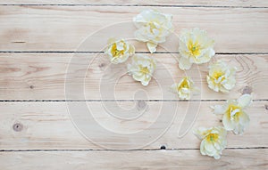 bright spring flowers on a wooden background top view.