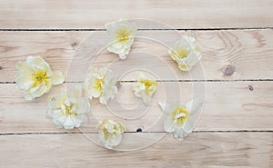 bright spring flowers on a wooden background top view.
