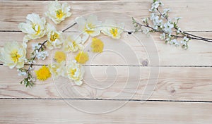 bright spring flowers on a wooden background top view.