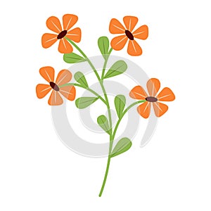 bright spring orange art drawn flower