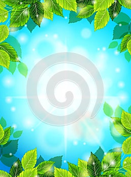 Bright Spring realistic background, blue sky, green leaves. The sun's rays, glare, glow. Template for web design. Vector