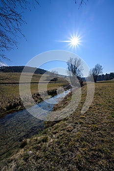 Bright spring  scenery of a creek