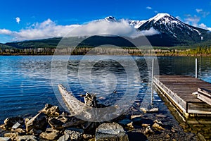 Bright spring at Vermillion Lakes. Banff National Park, Alberta, Canada