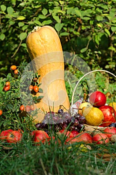 Bright still life of fruit and vegetables