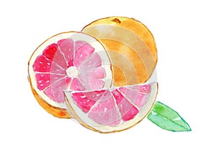 Bright still life with grapefruits