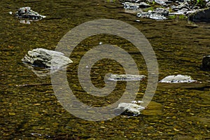 bright stones in a clear calm creek