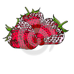 Bright strawberry berries on a white background