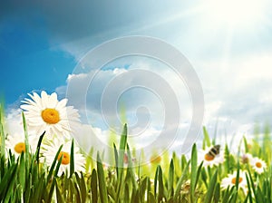 Bright summer afternoon.