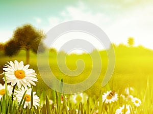 Bright summer afternoon.