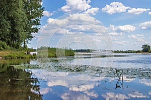 Bright summer day in the Strelka of Yaroslavl Beautiful landscaping of the Park on the embankment of the Volga and Kotorosl in