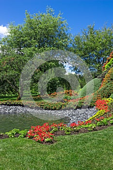 Bright summer garden with pond