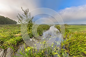 Bright summer landscape river landscape