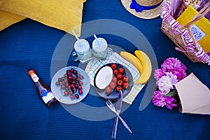 Bright summer picnic on nature-summer, sun, happiness.