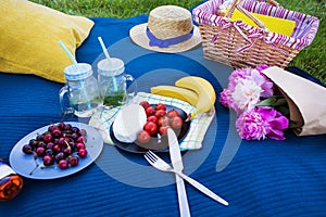 Bright summer picnic on nature-summer, sun, happiness.