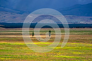 Bright summer steppe landscape. Steppe on the background of mountains. Background of agricultural field and mountains