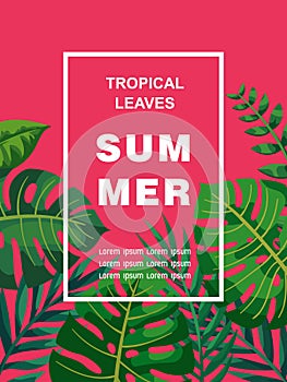 Bright Summer Tropical Leaves Vector card Design.