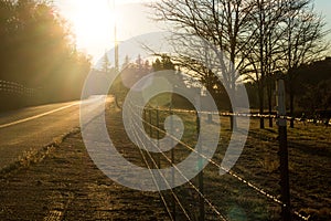 Bright sun at the curve on a rural country highway lined by barbed wire fence, trees and vintage telphone poles and wire, light