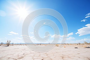 bright sun-filled blue sky over a desert hardiness zone photo