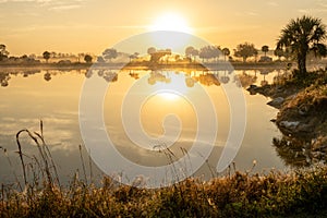 Bright Sun Rising Over Lake In South Florida