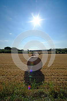 Bright sun shining on a blue sky on a yellow rural landscape field with straw wheels
