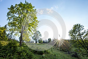 Bright sun. Sun rays in nature. Carpathians. The mountains. The sun.