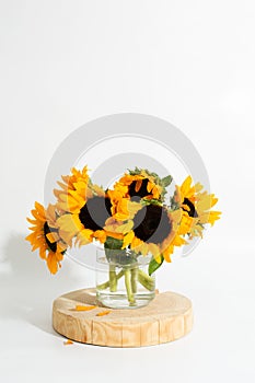 Bright sunflowers in glass vase on white background