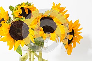 Bright sunflowers in glass vase on white background