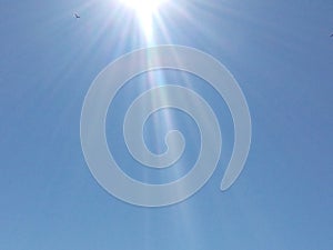 Bright sunlight, sun rays, blue sky,The hawk hovers high in the sky,Clear sky, bright light,blue background