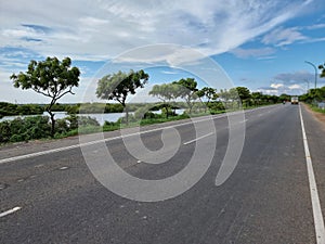bright sunny day beautiful road highway symmetry pattern trees forest roadside plantations parallel paths greenery scenery