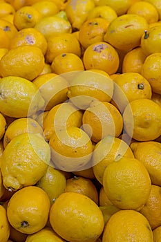 Bright sunny fruit whole lemon vertical pattern a lot of fruit traditional element of desserts and drinks giving sour and flavor