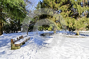 Bright, sunny winter day in a snow-covered city park with a lake