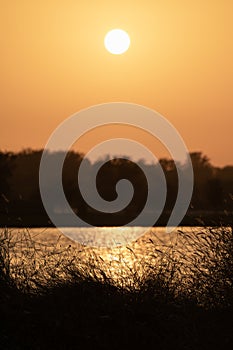 Bright sunrays bouncing off the water