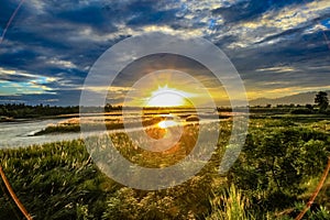 Sunset with lens flare, thick tall grass and bushes with a flat lazy river crossing the horizon