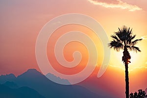 Bright sunset or sunrise sky with misty mountains and the silhouette of a palm tree in the foreground