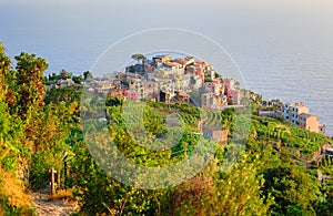 Bright sunset in Vernazza village (Cinque Terre, Italy)