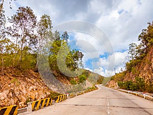 Bright sunshine day time Highway curve road overpass nature landscape background street tall lanterns trees bushes