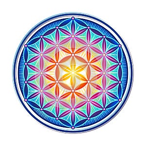 Bright Symbol Flower of Life. Sacred geometric symbol of success, health and prosperity