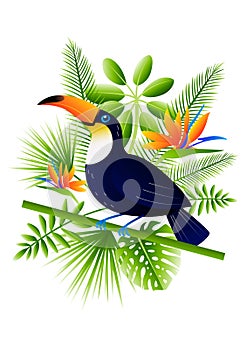 Bright toucan bird with tropical leaves and flowers - for Your summer design 2