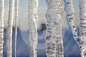 Bright transparent icicles against the background of the blue sky.