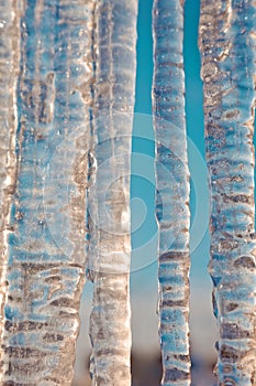 Bright transparent icicles against the background of the blue sky.