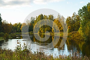 Bright trees on lake shore, Karelia, Russia