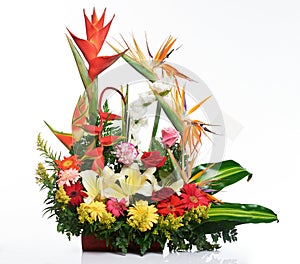 Bright tropical flower bouquet