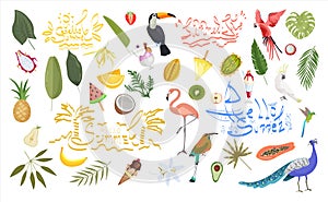 A bright tropical set with exotic birds and fruits.Summer banner