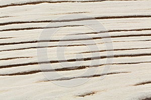 Bright unique wood design texture. Natural background closeup.