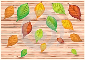 Bright vector design with colorful leaves on wooden background.