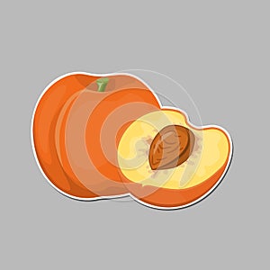 Bright vector set of colorful half and whole of juicy peach.