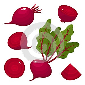 Bright vector set of fresh beets isolated on white.