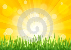 Bright vector sun effect with green grass field