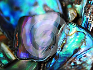 Bright vibrant colorful paua shell background