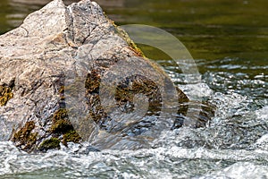 Bright water swirles around the base of large boulder in summer